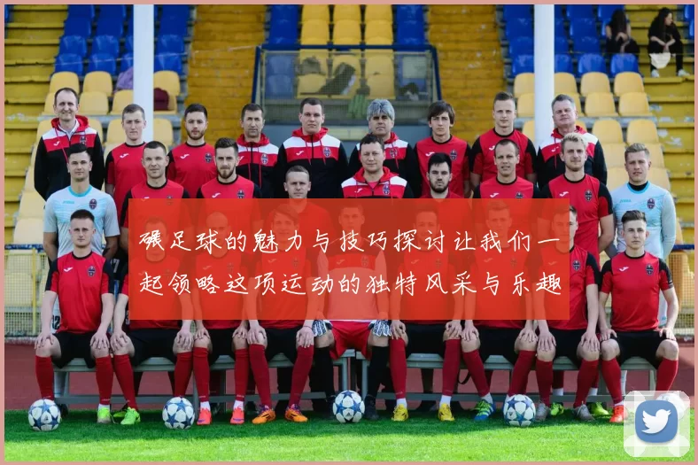 碾足球的魅力与技巧探讨让我们一起领略这项运动的独特风采与乐趣
