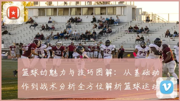 篮球的魅力与技巧图解：从基础动作到战术分析全方位解析篮球运动的精彩世界