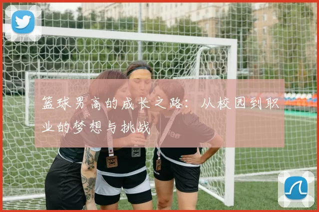 篮球男高的成长之路：从校园到职业的梦想与挑战