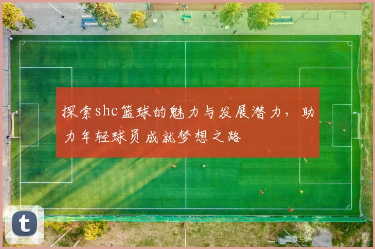 探索shc篮球的魅力与发展潜力，助力年轻球员成就梦想之路